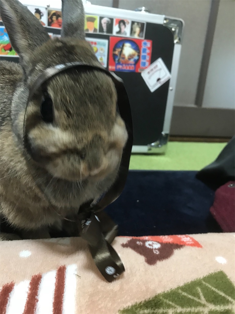 f:id:benkudo_2105:20210403210056j:image