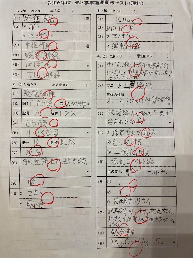 f:id:benkyouseisekiup:20241003203026j:image