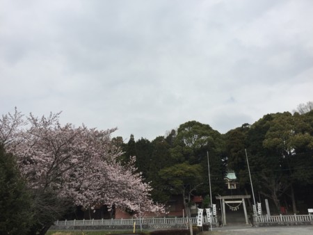 f:id:bennybebad:20160601223033j:plain