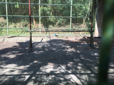 f:id:bennybebad:20160709202053j:plain f:id:bennybebad:20160709202053j:plain
