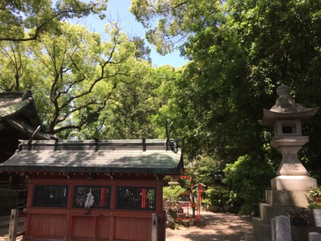 f:id:bennybebad:20160911185707j:plain f:id:bennybebad:20160911185707j:plain