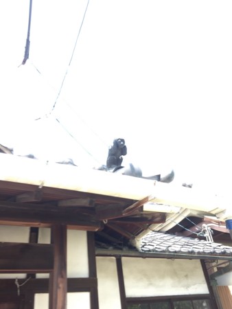 f:id:bennybebad:20160911185714j:plain f:id:bennybebad:20160911185714j:plain