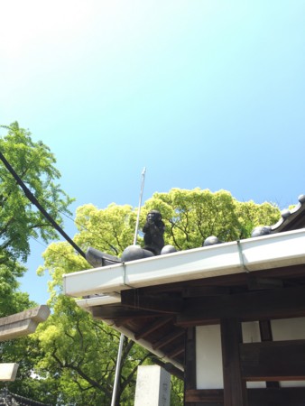 f:id:bennybebad:20160911185715j:plain f:id:bennybebad:20160911185715j:plain