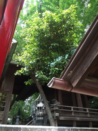 f:id:bennybebad:20160918165245j:plain