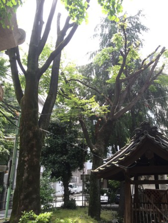 f:id:bennybebad:20160918165310j:plain