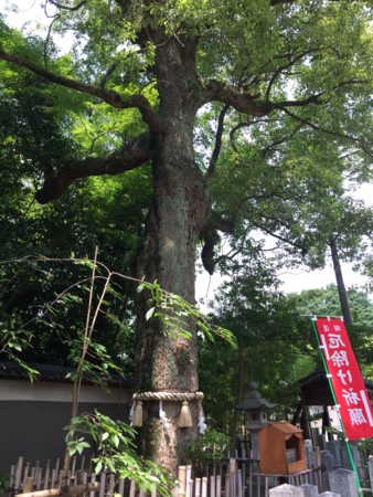 f:id:bennybebad:20161006220400j:plain