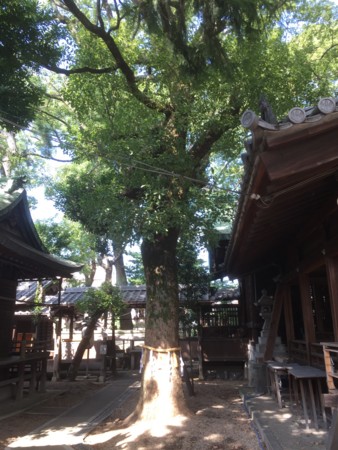 f:id:bennybebad:20161010125842j:plain