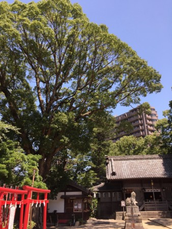 f:id:bennybebad:20161018221336j:plain f:id:bennybebad:20161018221336j:plain