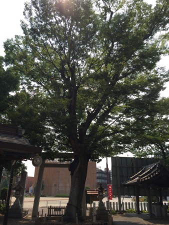 f:id:bennybebad:20161110205626j:plain f:id:bennybebad:20161110205626j:plain