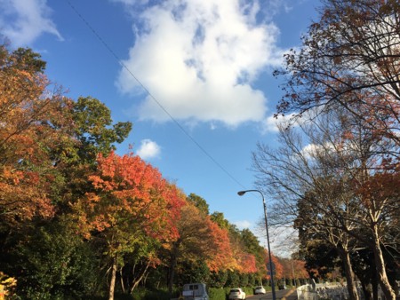 f:id:bennybebad:20161202230846j:plain