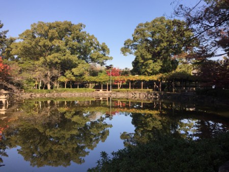 f:id:bennybebad:20161202230851j:plain