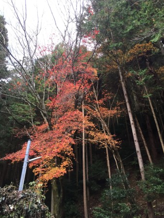 f:id:bennybebad:20161202231621j:plain