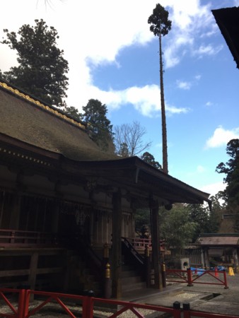 f:id:bennybebad:20161202231657j:plain f:id:bennybebad:20161202231657j:plain