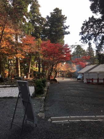 f:id:bennybebad:20161202231701j:plain f:id:bennybebad:20161202231701j:plain