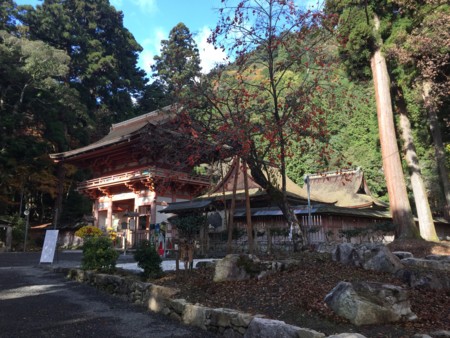 f:id:bennybebad:20161202231706j:plain f:id:bennybebad:20161202231706j:plain