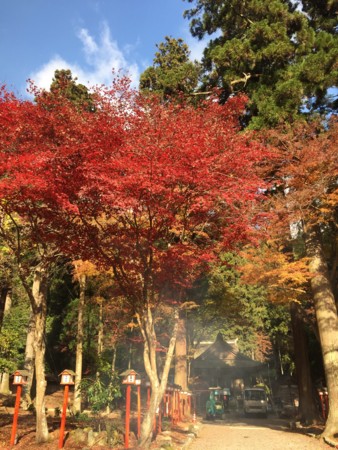 f:id:bennybebad:20161202231707j:plain f:id:bennybebad:20161202231707j:plain