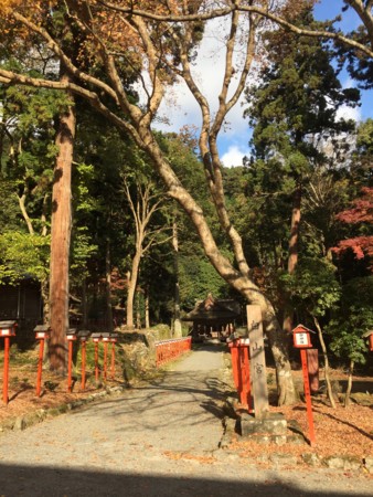 f:id:bennybebad:20161202231708j:plain f:id:bennybebad:20161202231708j:plain