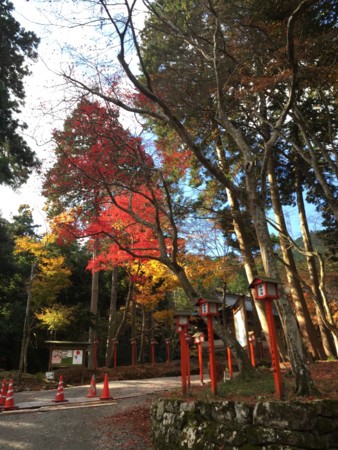 f:id:bennybebad:20161202231713j:plain f:id:bennybebad:20161202231713j:plain