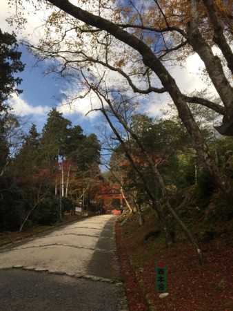 f:id:bennybebad:20161202231720j:plain f:id:bennybebad:20161202231720j:plain