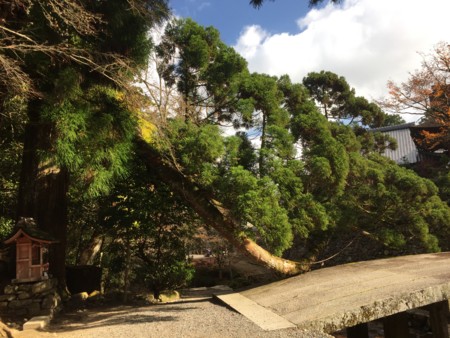 f:id:bennybebad:20161202231723j:plain f:id:bennybebad:20161202231723j:plain