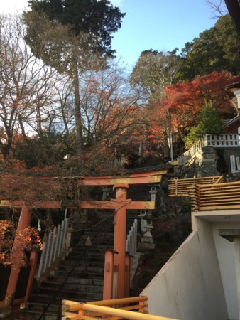 f:id:bennybebad:20161202235151j:plain