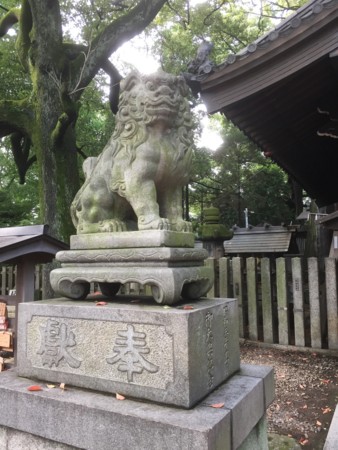 f:id:bennybebad:20161203203545j:plain f:id:bennybebad:20161203203545j:plain