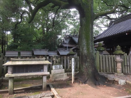 f:id:bennybebad:20161203203547j:plain f:id:bennybebad:20161203203547j:plain