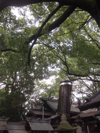 f:id:bennybebad:20161203203555j:plain f:id:bennybebad:20161203203555j:plain