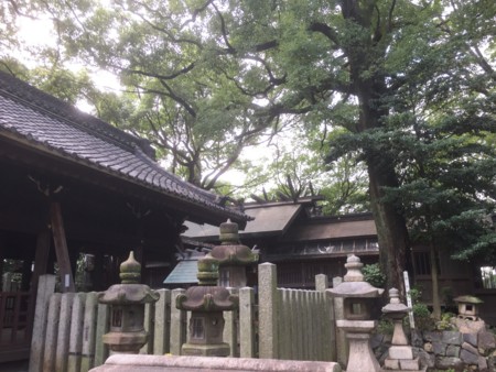 f:id:bennybebad:20161203203558j:plain f:id:bennybebad:20161203203558j:plain