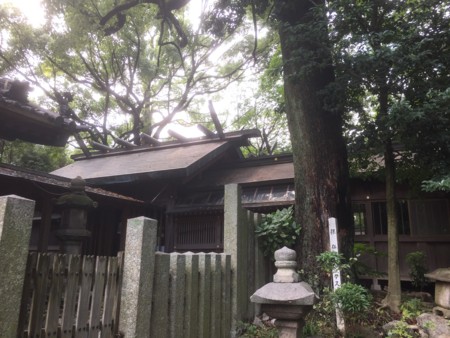 f:id:bennybebad:20161203203559j:plain f:id:bennybebad:20161203203559j:plain