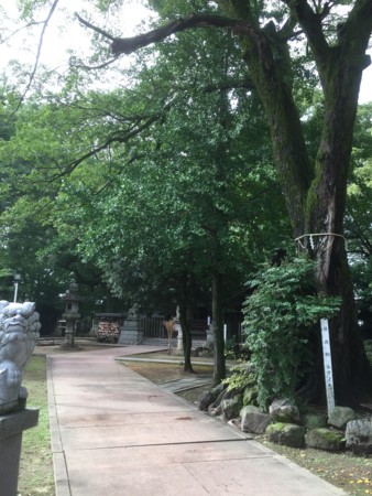 f:id:bennybebad:20161203203602j:plain f:id:bennybebad:20161203203602j:plain