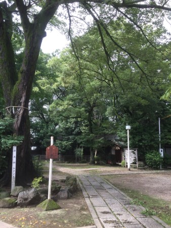 f:id:bennybebad:20161203203603j:plain f:id:bennybebad:20161203203603j:plain