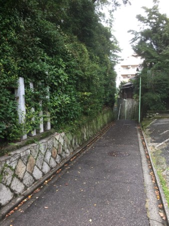 f:id:bennybebad:20161203203606j:plain f:id:bennybebad:20161203203606j:plain