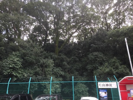 f:id:bennybebad:20161203203607j:plain f:id:bennybebad:20161203203607j:plain