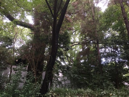 f:id:bennybebad:20161203203608j:plain f:id:bennybebad:20161203203608j:plain