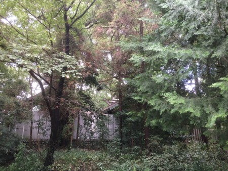 f:id:bennybebad:20161203203610j:plain f:id:bennybebad:20161203203610j:plain