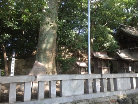 f:id:bennybebad:20161213213411j:plain