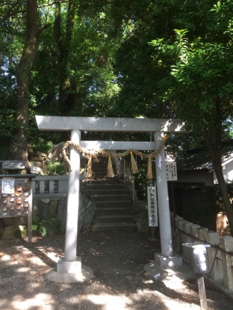 f:id:bennybebad:20161213213417j:plain