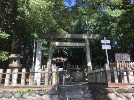 f:id:bennybebad:20161213213420j:plain