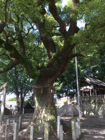 f:id:bennybebad:20161213213425j:plain