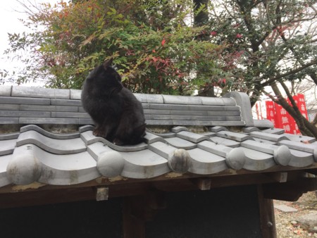 f:id:bennybebad:20161217102213j:plain f:id:bennybebad:20161217102213j:plain