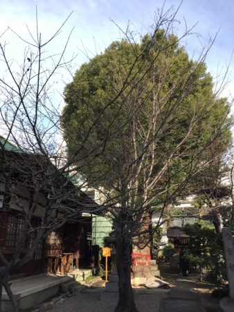 f:id:bennybebad:20161229100350j:plain f:id:bennybebad:20161229100350j:plain