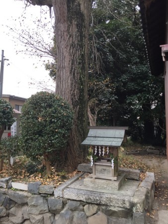 f:id:bennybebad:20170103115238j:plain f:id:bennybebad:20170103115238j:plain