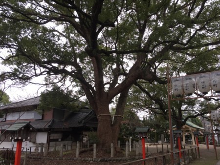 f:id:bennybebad:20170103115431j:plain f:id:bennybebad:20170103115431j:plain