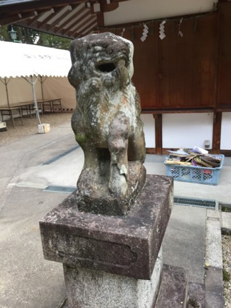 f:id:bennybebad:20170106100545j:plain f:id:bennybebad:20170106100545j:plain