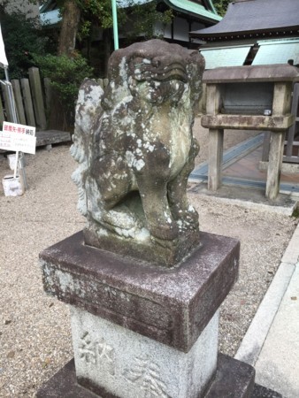 f:id:bennybebad:20170106100557j:plain f:id:bennybebad:20170106100557j:plain