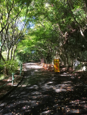 f:id:bennybebad:20170108171005j:plain f:id:bennybebad:20170108171005j:plain