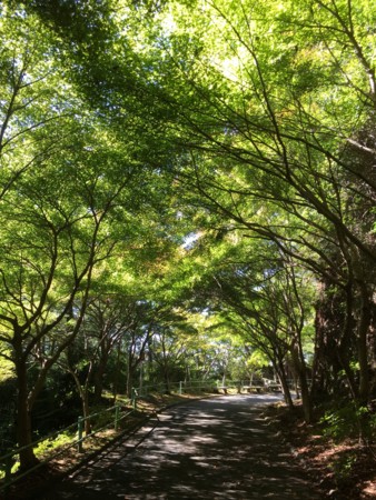 f:id:bennybebad:20170108171006j:plain f:id:bennybebad:20170108171006j:plain