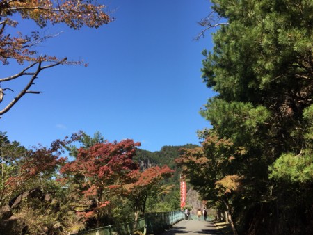 f:id:bennybebad:20170108171007j:plain f:id:bennybebad:20170108171007j:plain