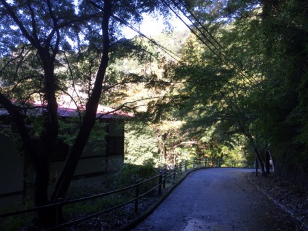 f:id:bennybebad:20170108171013j:plain f:id:bennybebad:20170108171013j:plain